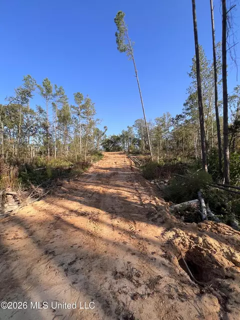 Mississippi Highway 310, Como, MS 38619 photo 4