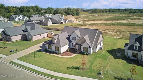 View/Area - 342 Camp Xing, Hernando, MS 38632 photo 2 of 2