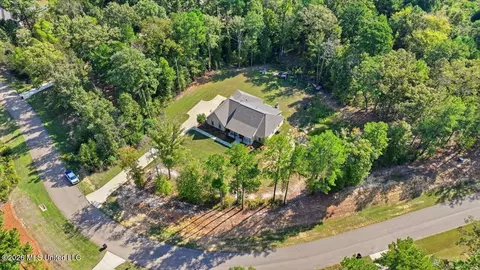 View/Area - 129 Dogwood Trce, Brandon, MS 39042 photo 5 of 18