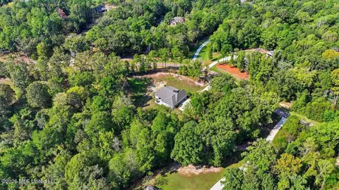 View/Area - 129 Dogwood Trce, Brandon, MS 39042 photo 14 of 18
