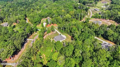 View/Area - 129 Dogwood Trce, Brandon, MS 39042 photo 17 of 18