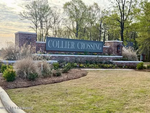 723 Celadon St, Brandon, MS 39042 photo 4