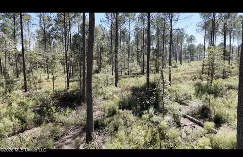 Rutland Road, Jayess, MS 39641 photo 3