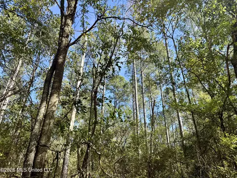Rutland Road, Jayess, MS 39641 photo 17