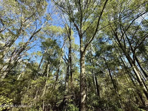 Rutland Road, Jayess, MS 39641 photo 21