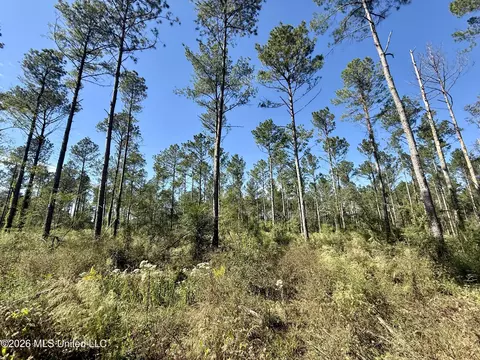 Rutland Road, Jayess, MS 39641 photo 12