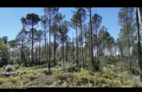 Rutland Road, Jayess, MS 39641 photo 8
