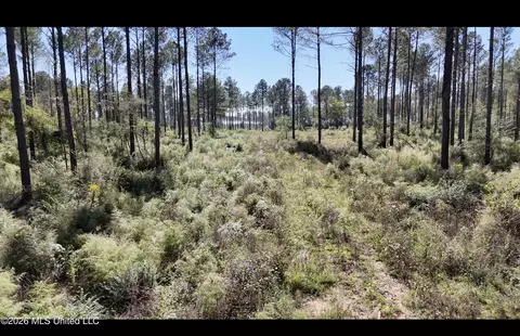Rutland Road, Jayess, MS 39641 photo 2