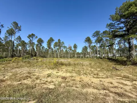 Rutland Road, Jayess, MS 39641 photo 18