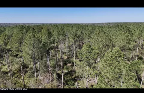 Rutland Road, Jayess, MS 39641 photo 6