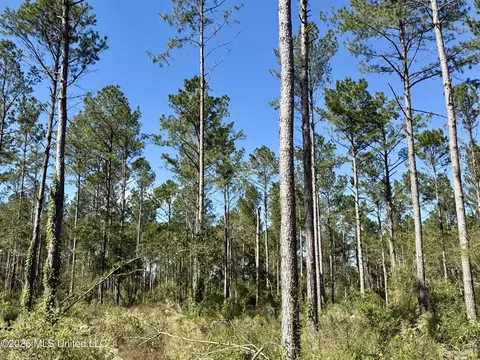 Rutland Road, Jayess, MS 39641 photo 14