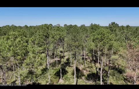 Rutland Road, Jayess, MS 39641 photo 10