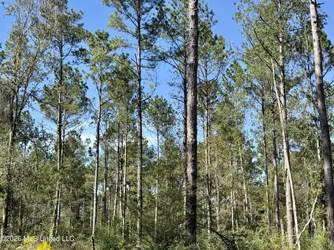 Rutland Road, Jayess, MS 39641 photo 11