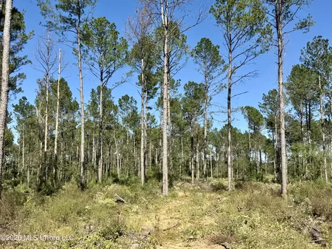 Rutland Road, Jayess, MS 39641 photo 13