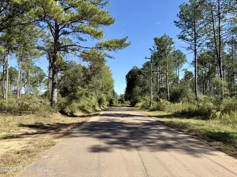 Rutland Road, Jayess, MS 39641 photo 23
