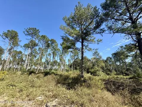Rutland Road, Jayess, MS 39641 photo 16
