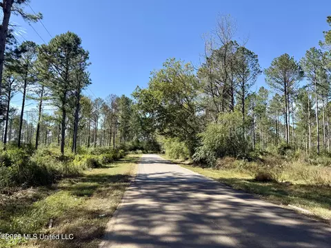 Rutland Road, Jayess, MS 39641 photo 24