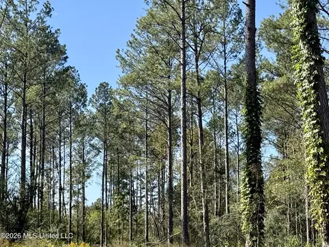 Rutland Road, Jayess, MS 39641 photo 15