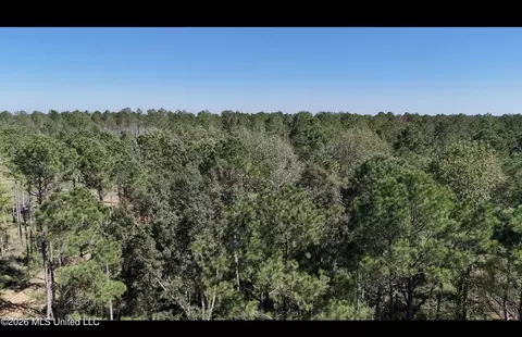 Gunnell Road, Ruth, MS 39662 photo 16