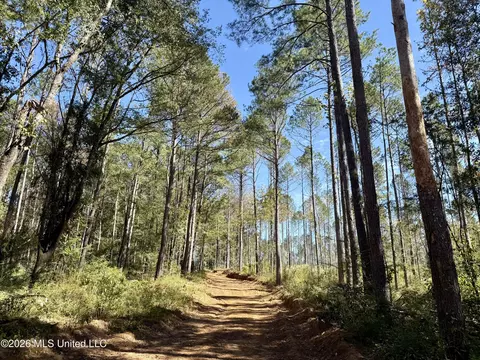Gunnell Road, Ruth, MS 39662 photo 25