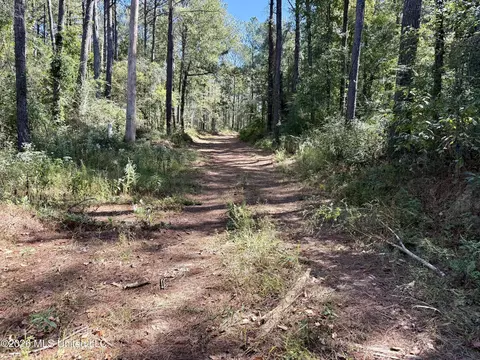 Gunnell Road, Ruth, MS 39662 photo 4