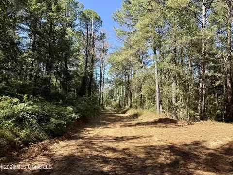 Gunnell Road, Ruth, MS 39662 photo 40