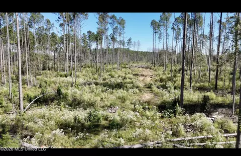 Gunnell Road, Ruth, MS 39662 photo 22