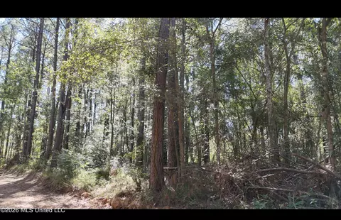 Gunnell Road, Ruth, MS 39662 photo 24