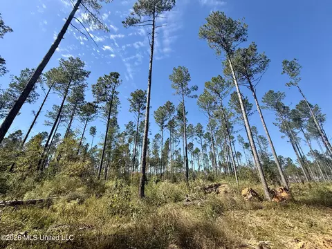 Gunnell Road, Ruth, MS 39662 photo 28