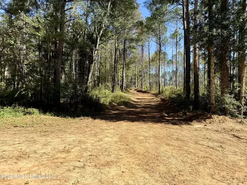 Gunnell Road, Ruth, MS 39662 photo 6