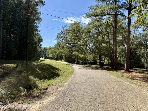 Gunnell Road, Ruth, MS 39662 photo 42