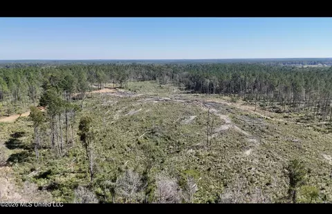 Gunnell Road, Ruth, MS 39662 photo 15