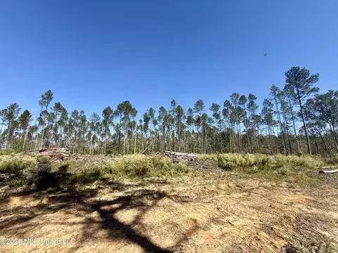 Gunnell Road, Ruth, MS 39662 photo 33