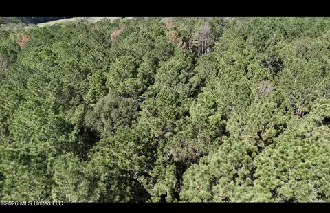 Gunnell Road, Ruth, MS 39662 photo 21