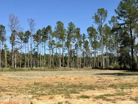 Gunnell Road, Ruth, MS 39662 photo 37