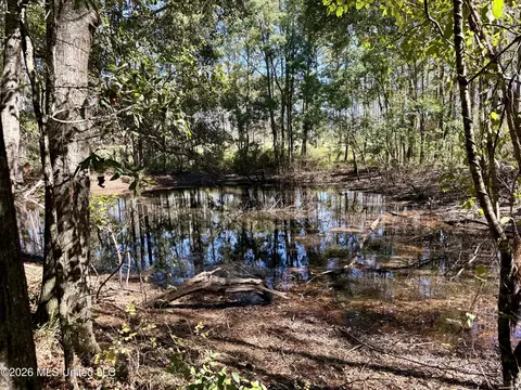 Gunnell Road, Ruth, MS 39662 photo 38