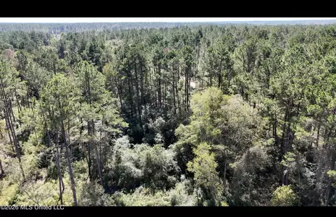 Gunnell Road, Ruth, MS 39662 photo 12