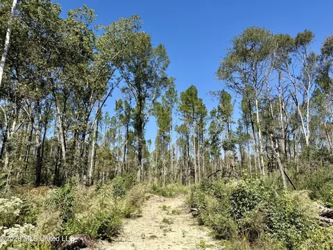 Gunnell Road, Ruth, MS 39662 photo 29