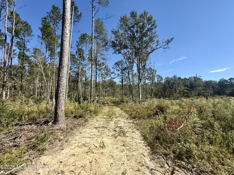 Gunnell Road, Ruth, MS 39662 photo 32
