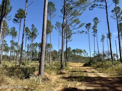 Gunnell Road, Ruth, MS 39662 photo 8