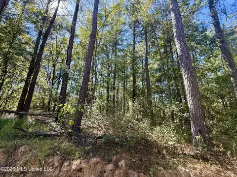 Gunnell Road, Ruth, MS 39662 photo 20