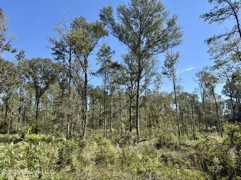 Gunnell Road, Ruth, MS 39662 photo 31