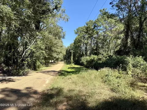 Gunnell Road, Ruth, MS 39662 photo 43