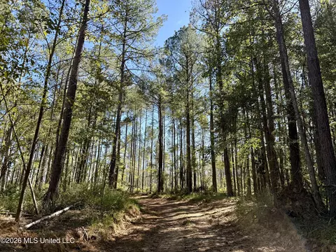 Gunnell Road, Ruth, MS 39662 photo 11