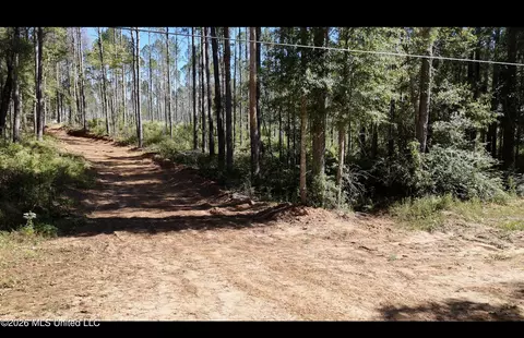 Gunnell Road, Ruth, MS 39662 photo 3