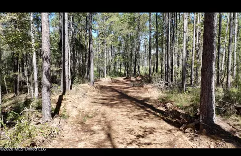 Gunnell Road, Ruth, MS 39662 photo 2