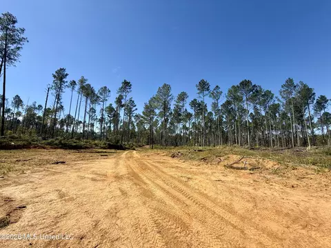 Gunnell Road, Ruth, MS 39662 photo 39