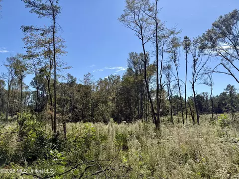 Gunnell Road, Ruth, MS 39662 photo 30