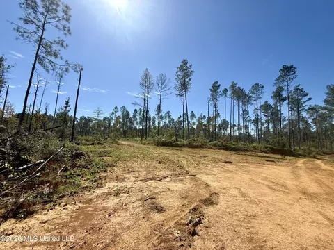 Gunnell Road, Ruth, MS 39662 photo 36