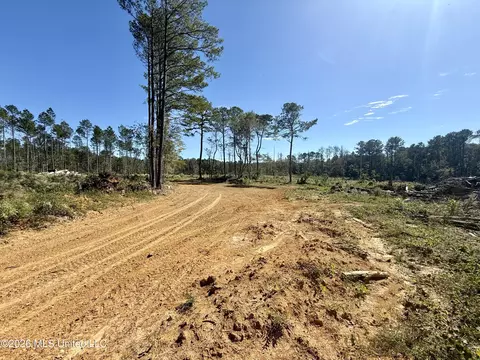 Gunnell Road, Ruth, MS 39662 photo 34